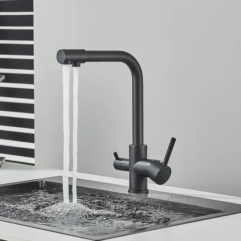 DecorBites™ Black Kitchen Faucet with Rotatable Water Purification Feature