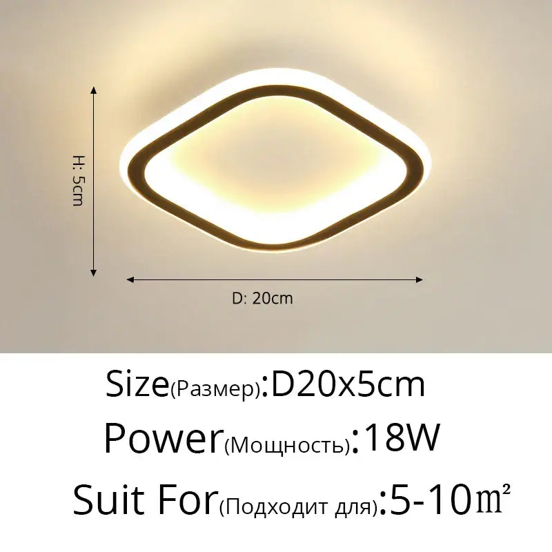 DecorBites™ Black Led Ceiling Light for Home Entryway - Modern Balcony Indoor Lamp