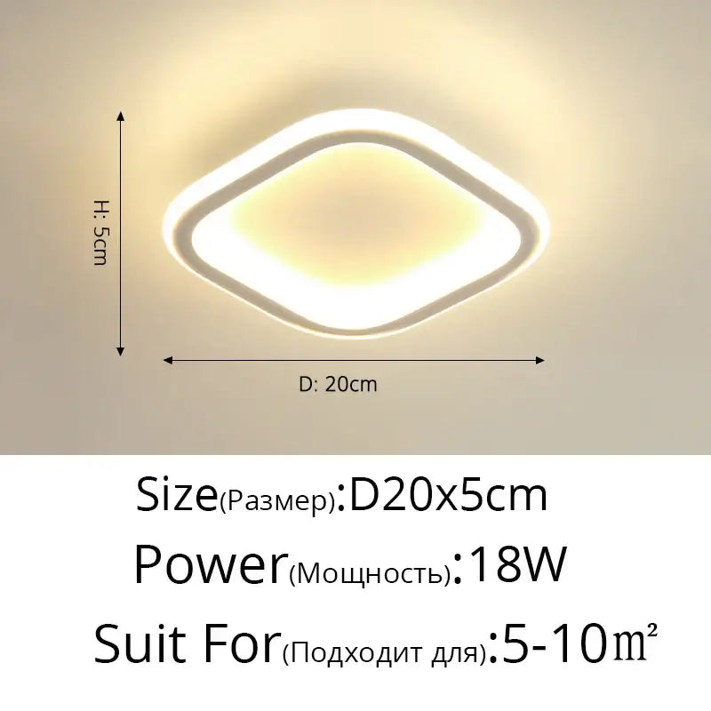 DecorBites™ Black Led Ceiling Light for Home Entryway - Modern Balcony Indoor Lamp