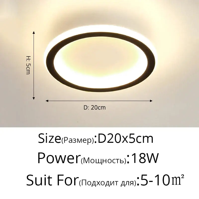 DecorBites™ Black Led Ceiling Light for Home Entryway - Modern Balcony Indoor Lamp