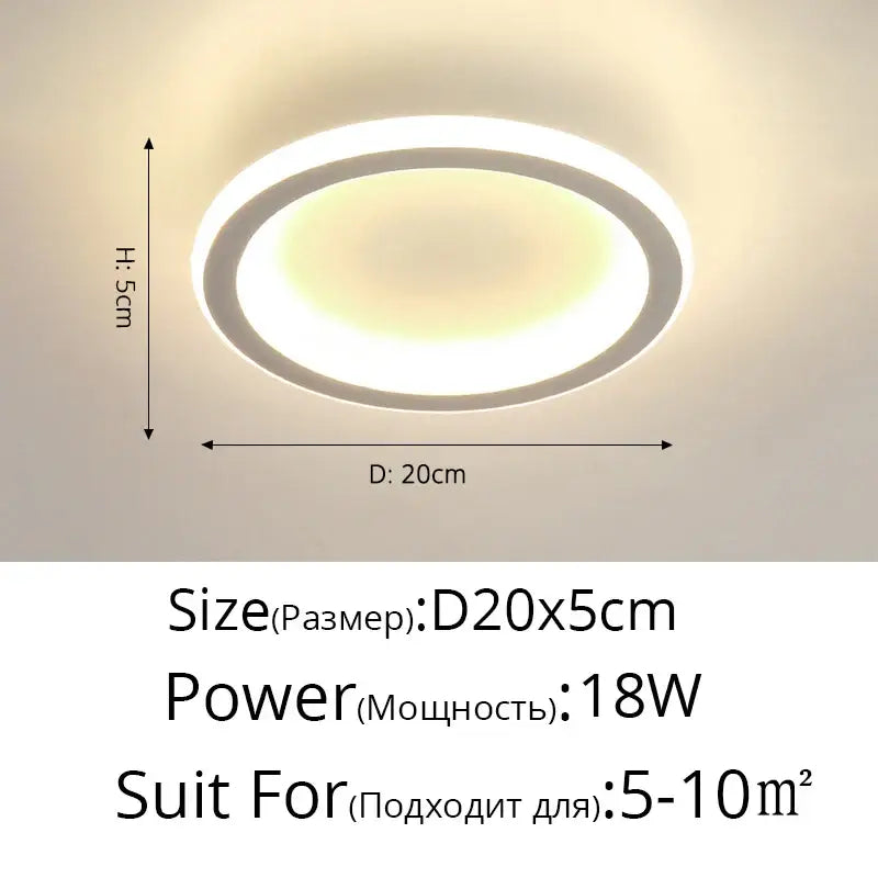 DecorBites™ Black Led Ceiling Light for Home Entryway - Modern Balcony Indoor Lamp