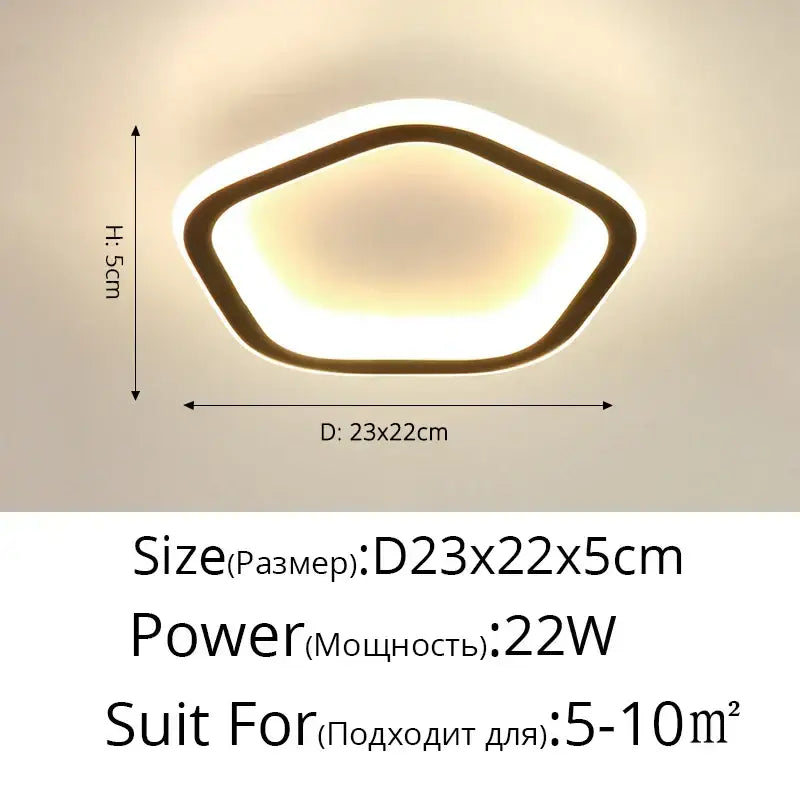 DecorBites™ Black Led Ceiling Light for Home Entryway - Modern Balcony Indoor Lamp
