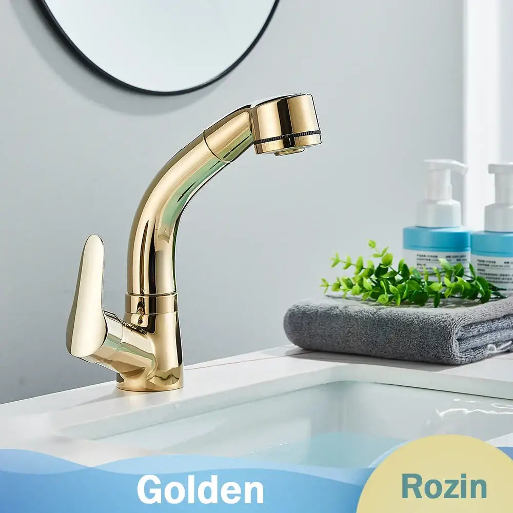 DecorBites™ Black Lift Basin Faucet with Pull Out Sprayer for Bathroom Sink - Dual Nozzle