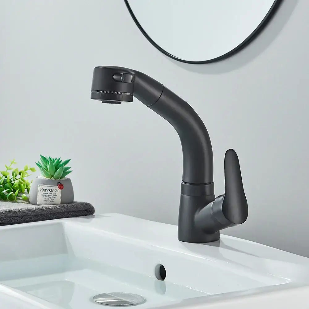 DecorBites™ Black Lift Basin Faucet with Pull Out Sprayer for Bathroom Sink - Dual Nozzle