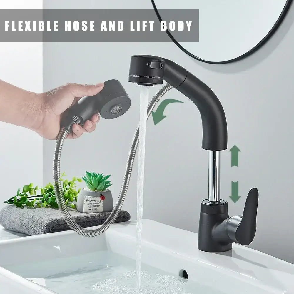 DecorBites™ Black Lift Basin Faucet with Pull Out Sprayer for Bathroom Sink - Dual Nozzle