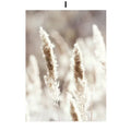 DecorBites™ Bohemian Beach Landscape Wall Art - Modern Home Decor