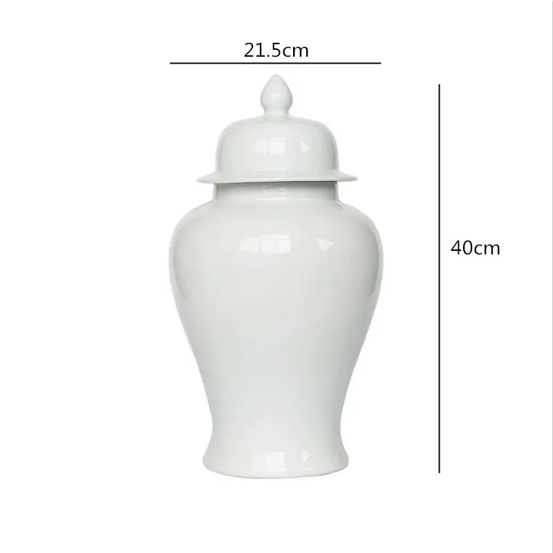 DecorBites™ Chinese Retro Handcrafted General Jar Vase for Home Decor & Storage