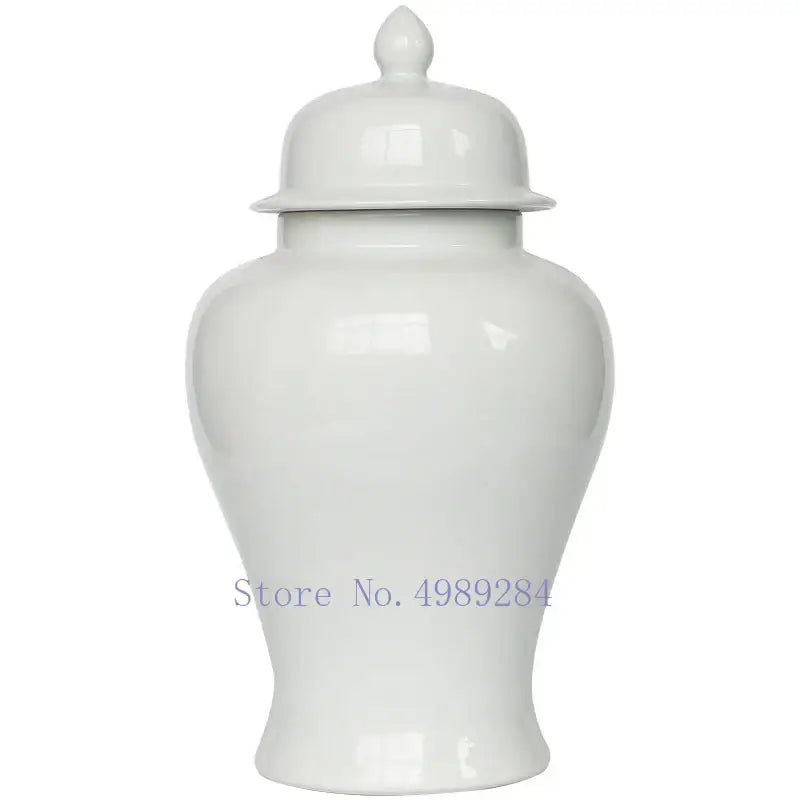 DecorBites™ Chinese Retro Handcrafted General Jar Vase for Home Decor & Storage
