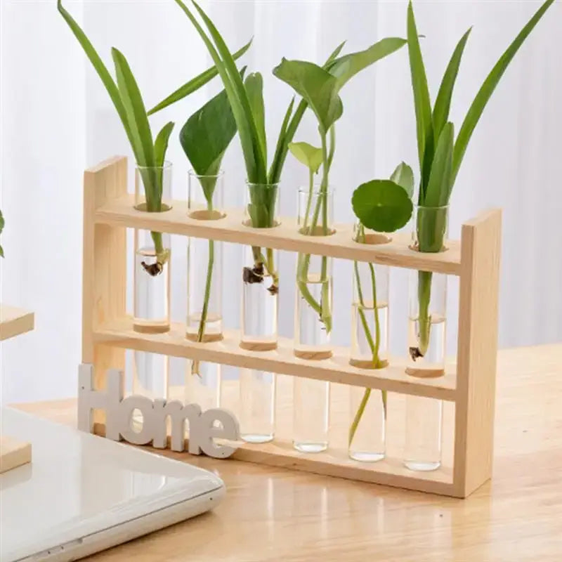 DecorBites™ Clear Glass Test Tube Vases for Plants