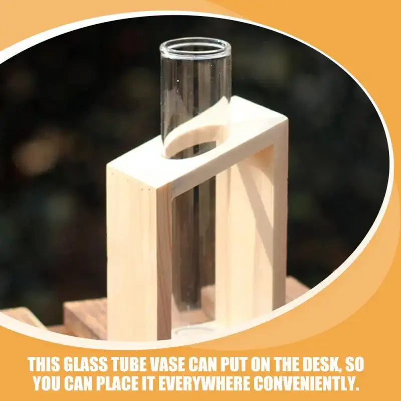 DecorBites™ Clear Glass Test Tube Vases for Plants