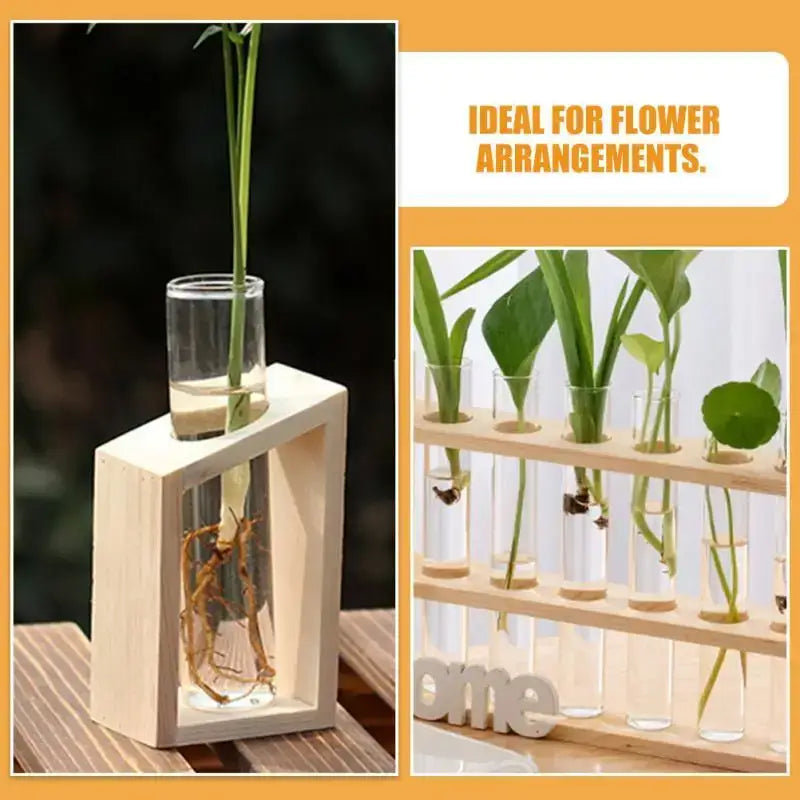 DecorBites™ Clear Glass Test Tube Vases for Plants