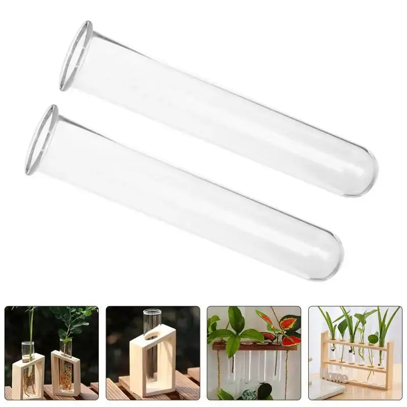 Decorbites™ clear glass test tube vases with silver-toned metal rims for plants in elegant tube vases design