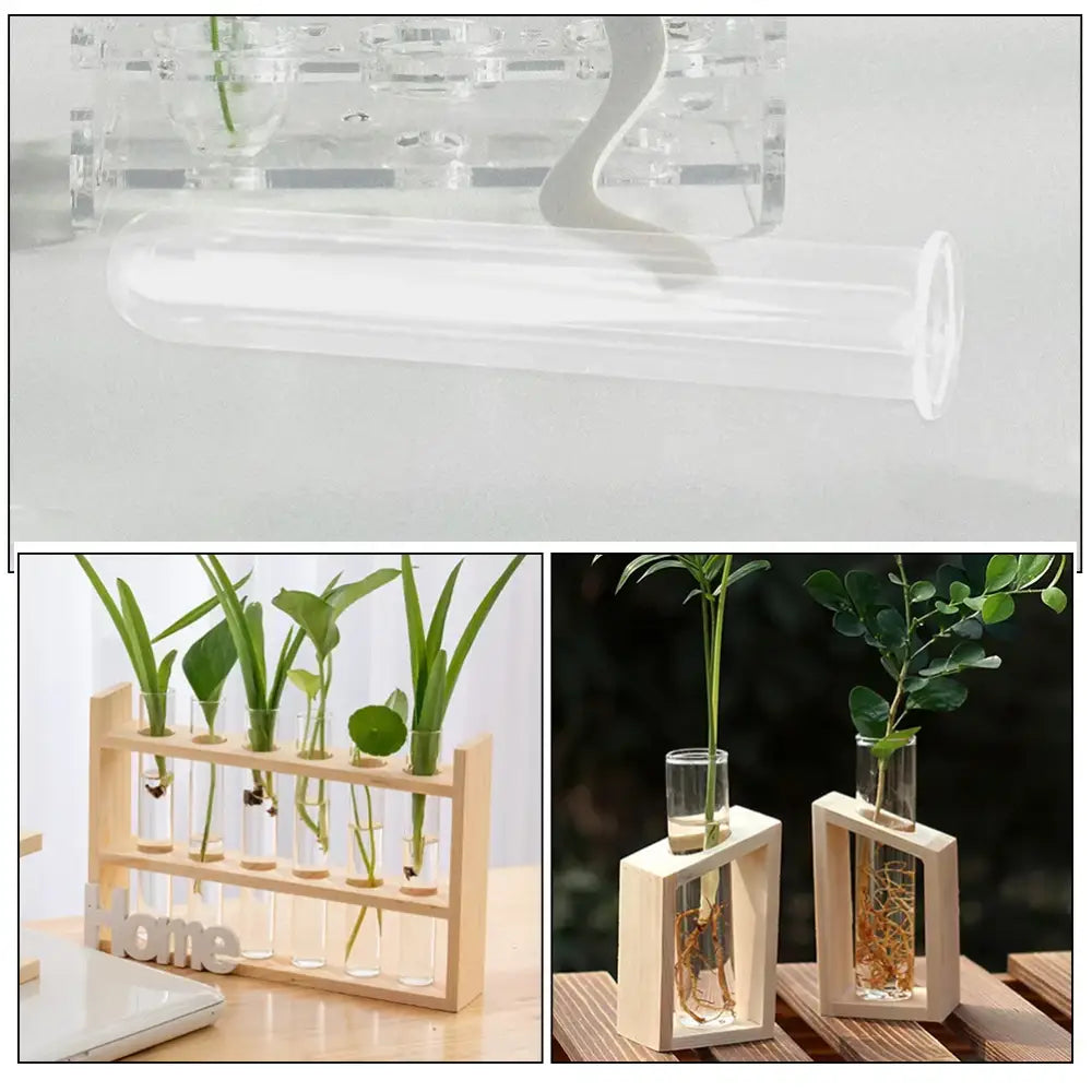DecorBites™ Clear Glass Test Tube Vases for Plants