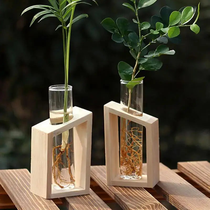 DecorBites™ Clear Glass Test Tube Vases for Plants