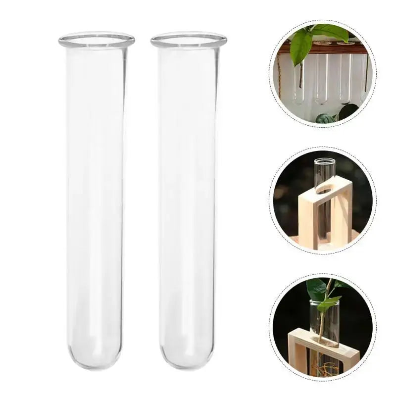 DecorBites™ Clear Glass Test Tube Vases for Plants