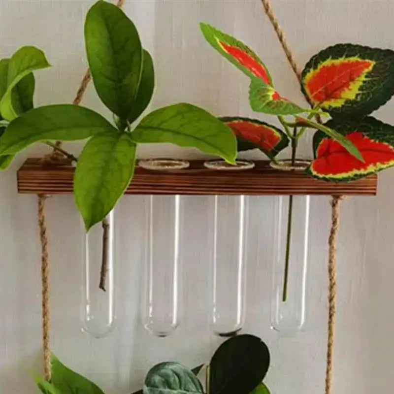 DecorBites™ Clear Glass Test Tube Vases for Plants