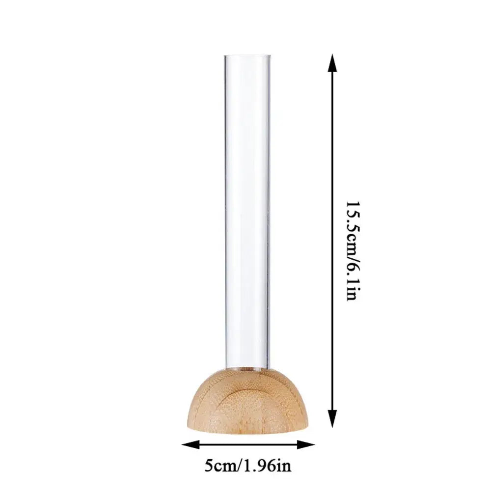 DecorBites™ Clear Nordic Plastic Vase for Hydroponic Flowers