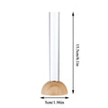 DecorBites™ Clear Nordic Plastic Vase for Hydroponic Flowers
