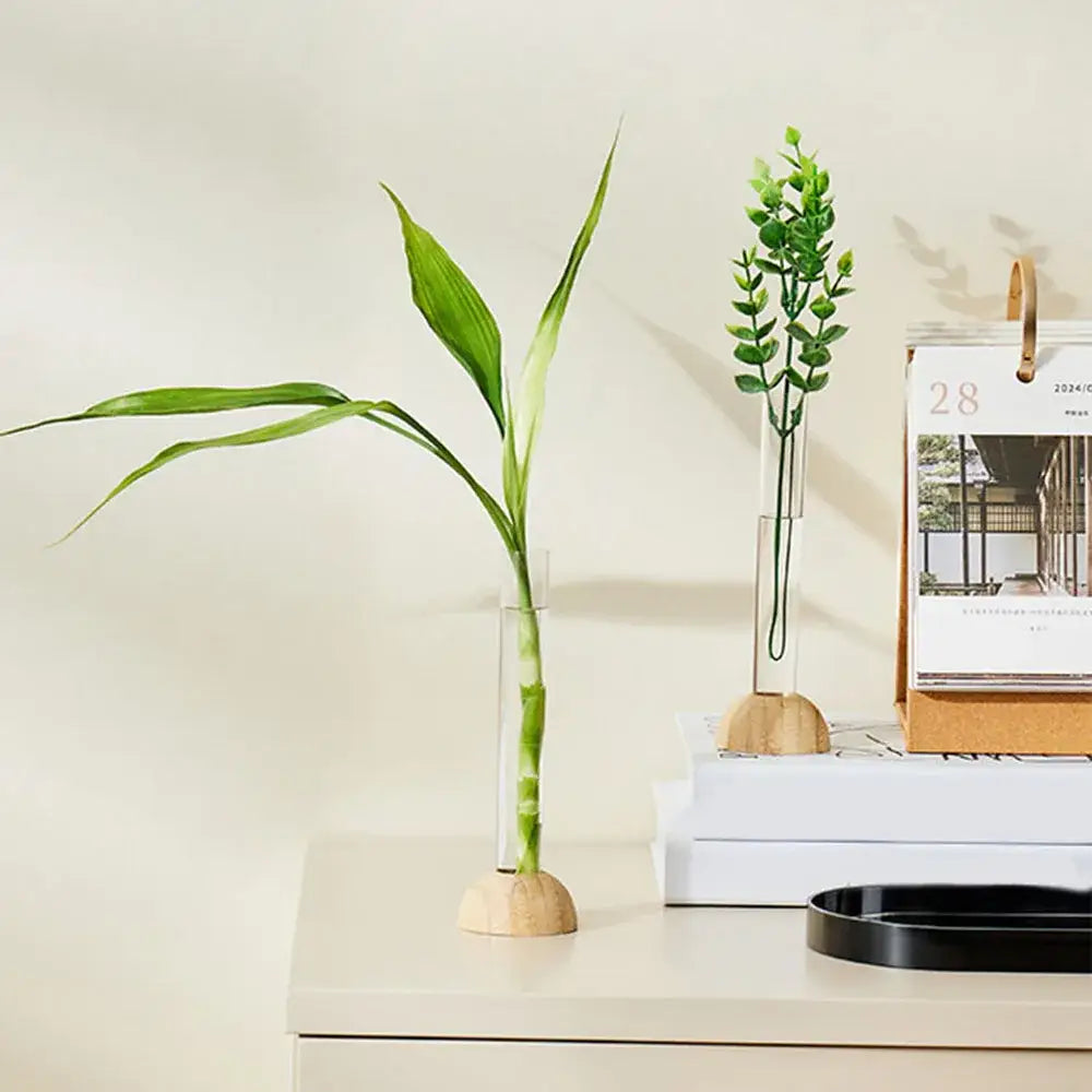 DecorBites™ Clear Nordic Plastic Vase for Hydroponic Flowers