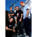 DecorBites™ Cool L-Linkin Band Park Poster Wall Art