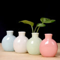 DecorBites™ cute mini ceramic flower vase set of four pastel-colored rounded vases with green leafy plants
