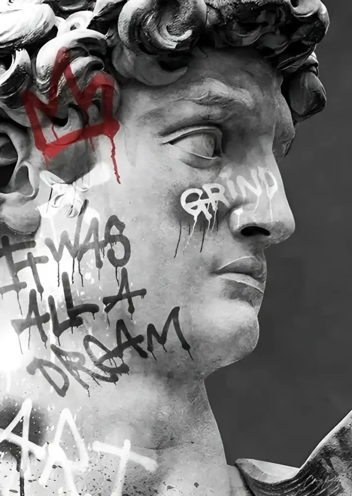 DecorBites™ David Graffiti Art Canvas Print for Room Decor