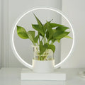 DecorBites™ Decorative Aluminum LED Night Lamp with Glass Plant Cup
