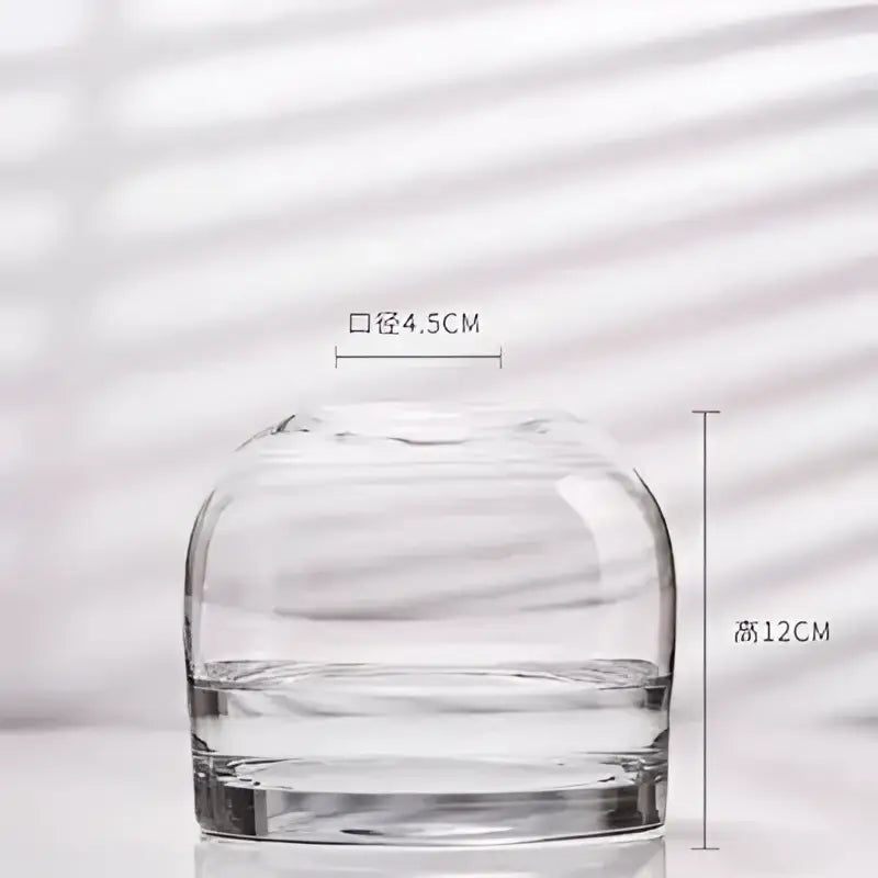 DecorBites™ Elegant European INS Glass Flower Vase