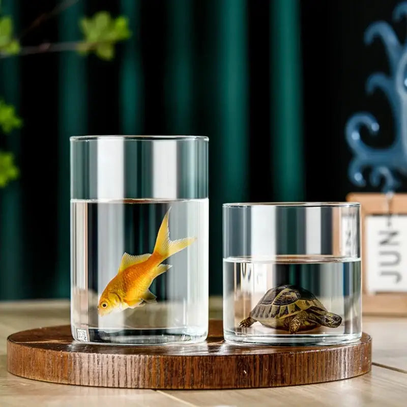DecorBites™ Elegant Glass Cylinder Vase for Flowers