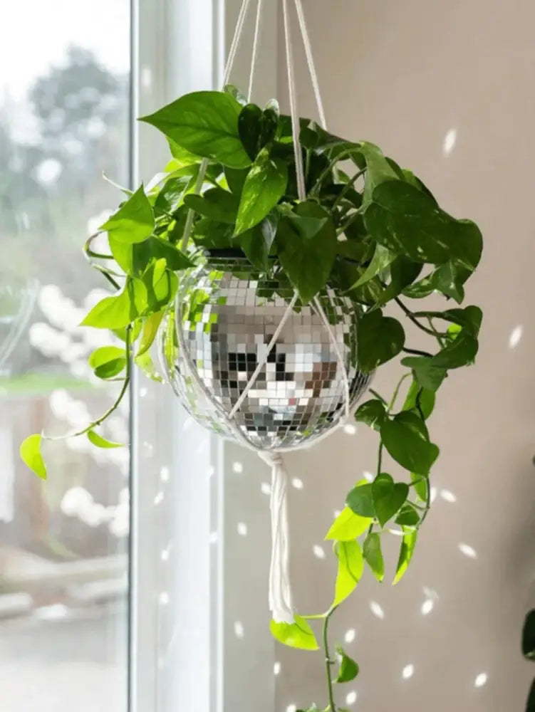 DecorBites™ Elegant Round Glass Vase for Home Decor