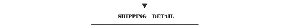 Shipping detail text in black centered above a line on decorbites™ f1 racing circuit canvas wall art showing track circuit design