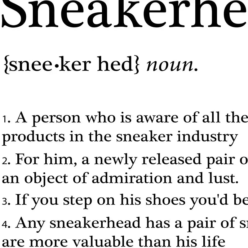 DecorBites™ Fashionable Sneaker Box Canvas Wall Art