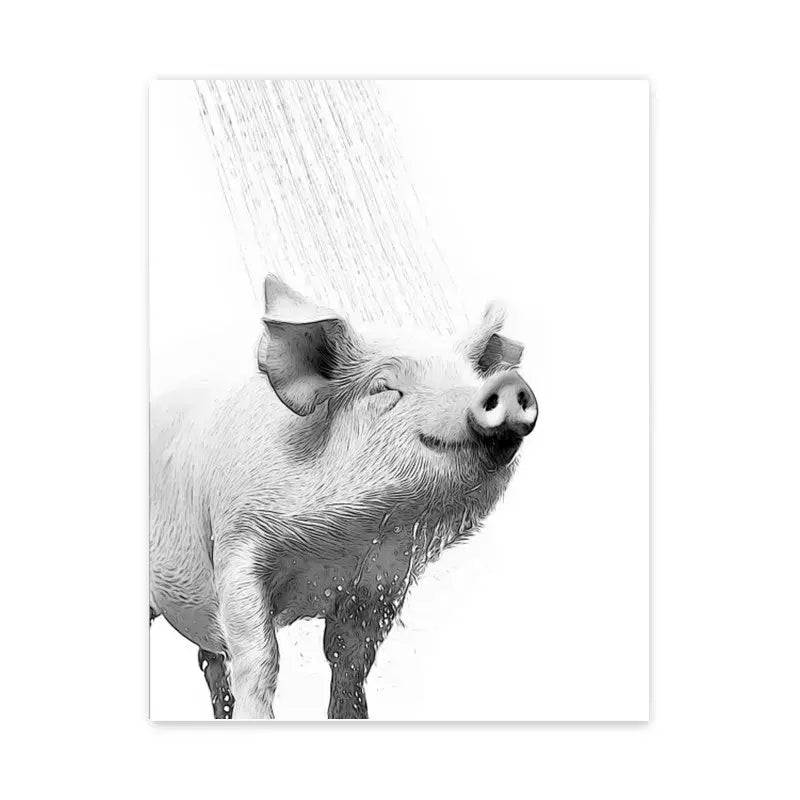 Black and white illustrated bathroom poster print of a pig enjoying a shower by DecorBites™ wall art