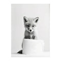 DecorBites™ Funny Animals Canvas Wall Art for Bathroom Home