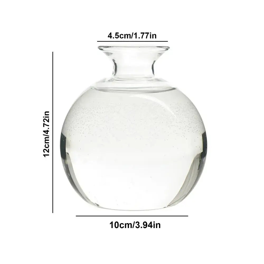 DecorBites™ Glass Avocado Seed Starter Vase Kit