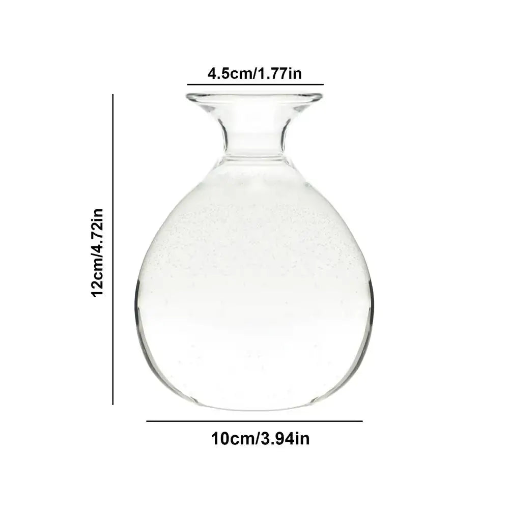 Clear glass seed starter vase with rounded body and narrow neck for avocado seed in the decorbites kit