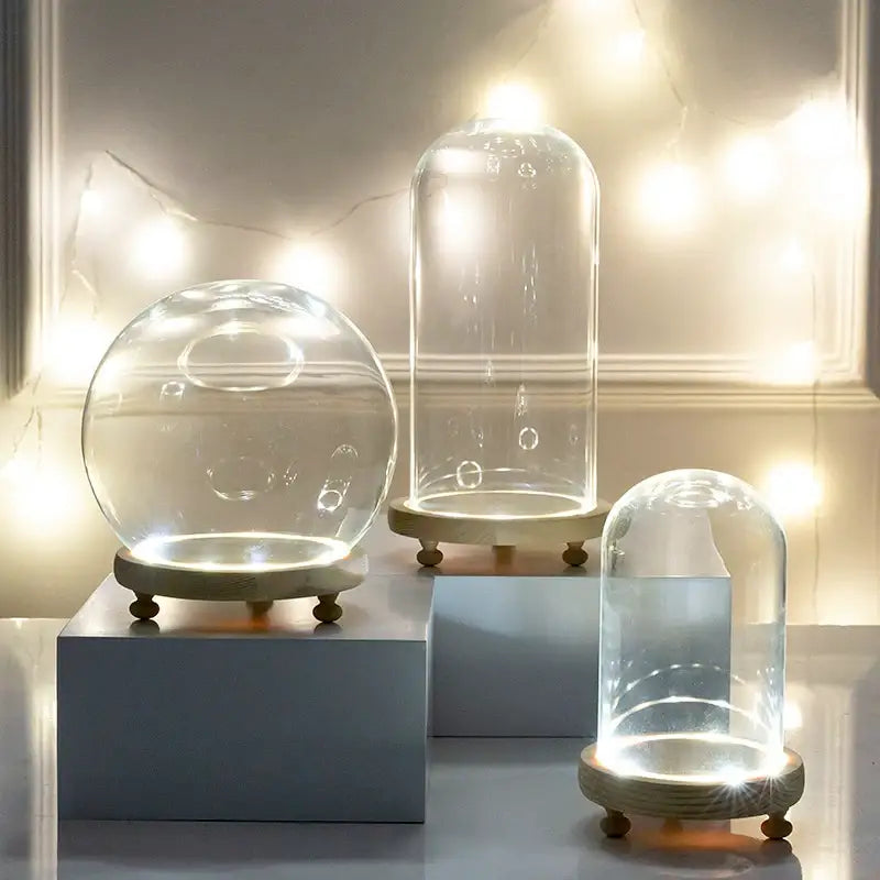DecorBites™ Glass Bell Jar Terrarium with LED Light