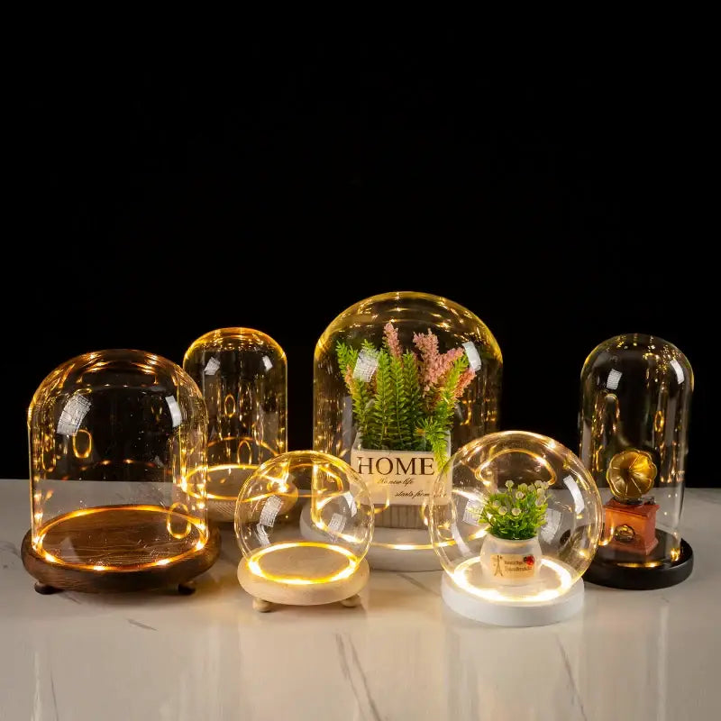 DecorBites™ Glass Bell Jar Terrarium with LED Light