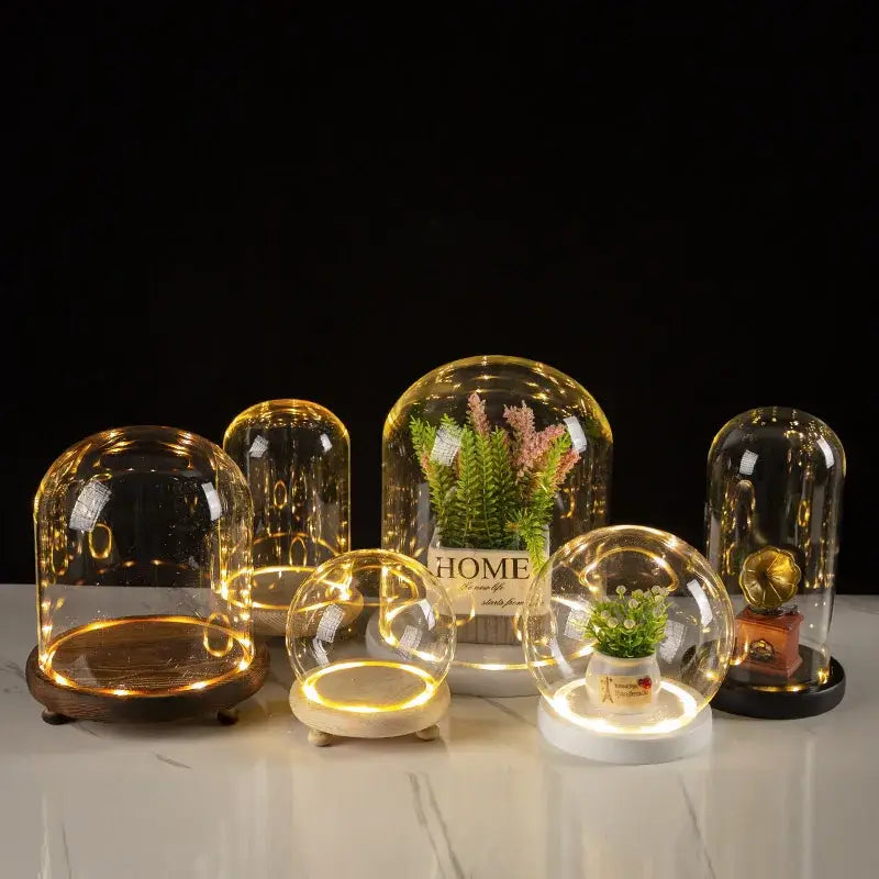 DecorBites™ Glass Bell Jar Terrarium with LED Light