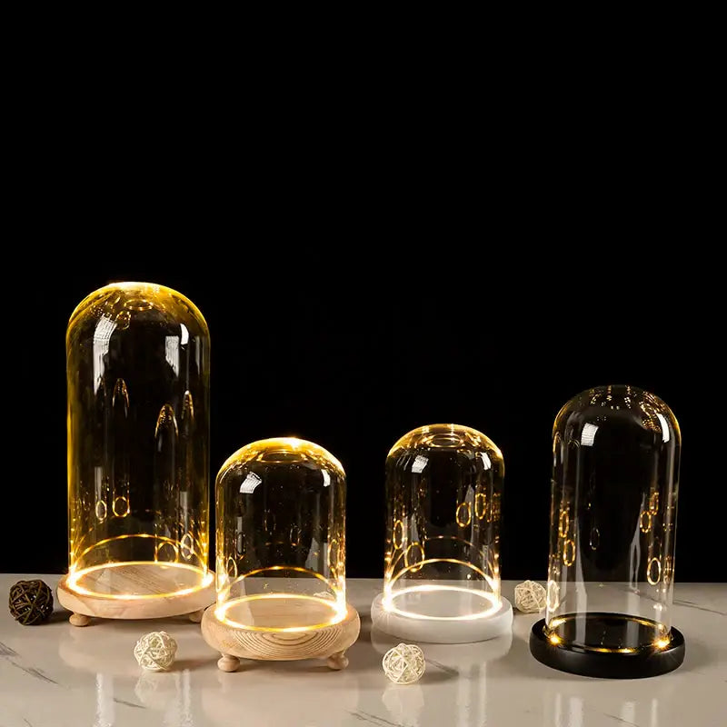 DecorBites™ Glass Bell Jar Terrarium with LED Light