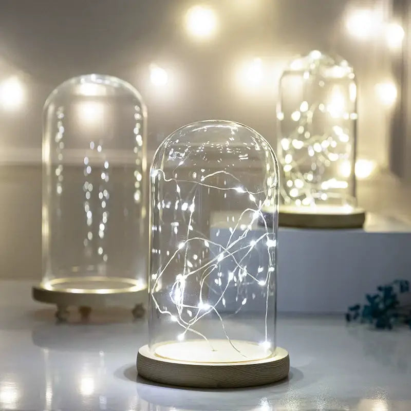 DecorBites™ Glass Bell Jar Terrarium with LED Light