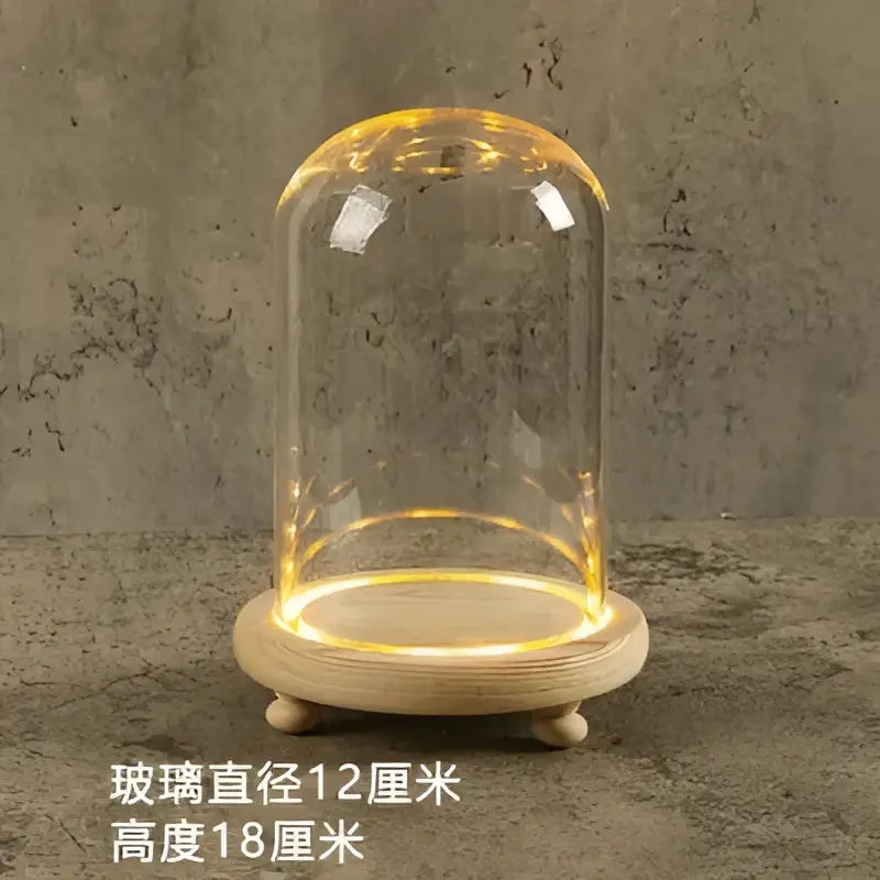 DecorBites™ Glass Bell Jar Terrarium with LED Light