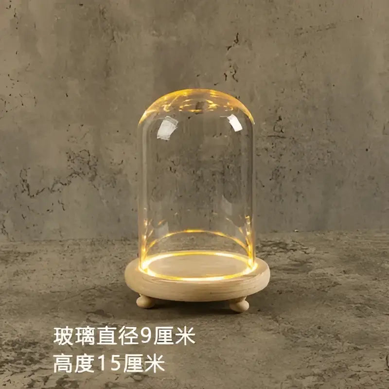 DecorBites™ Glass Bell Jar Terrarium with LED Light