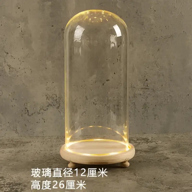 DecorBites™ Glass Bell Jar Terrarium with LED Light