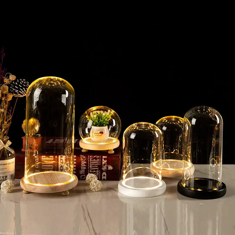 DecorBites™ Glass Bell Jar Terrarium with LED Light