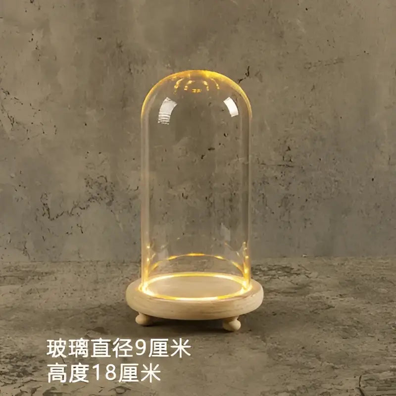 DecorBites™ Glass Bell Jar Terrarium with LED Light