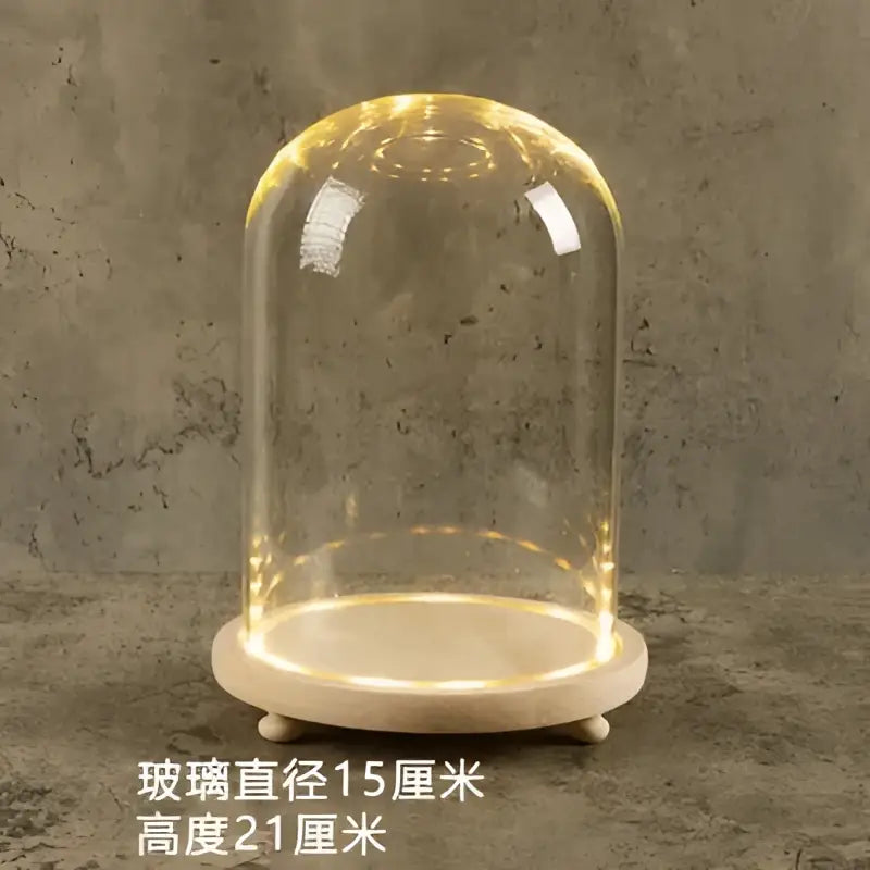 DecorBites™ Glass Bell Jar Terrarium with LED Light