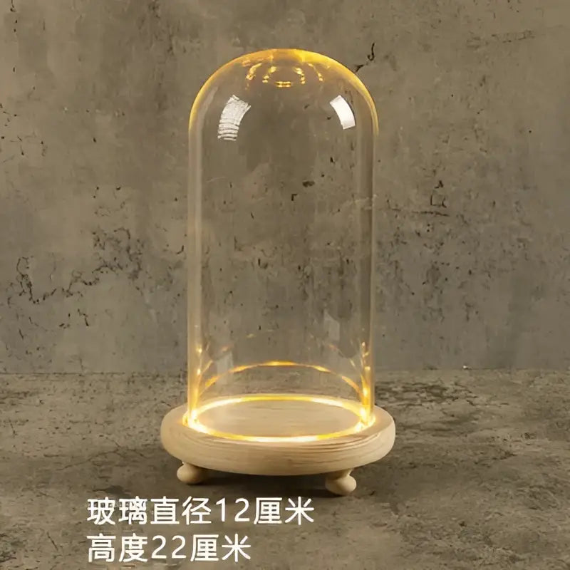 DecorBites™ Glass Bell Jar Terrarium with LED Light
