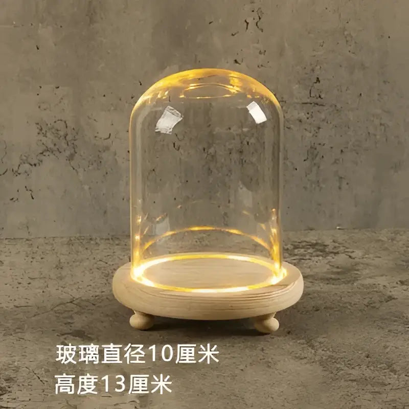 DecorBites™ Glass Bell Jar Terrarium with LED Light