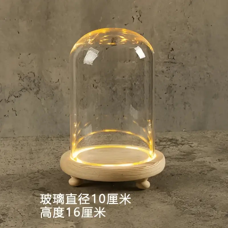 DecorBites™ Glass Bell Jar Terrarium with LED Light